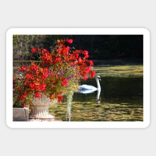 Swan And Flowers Sticker